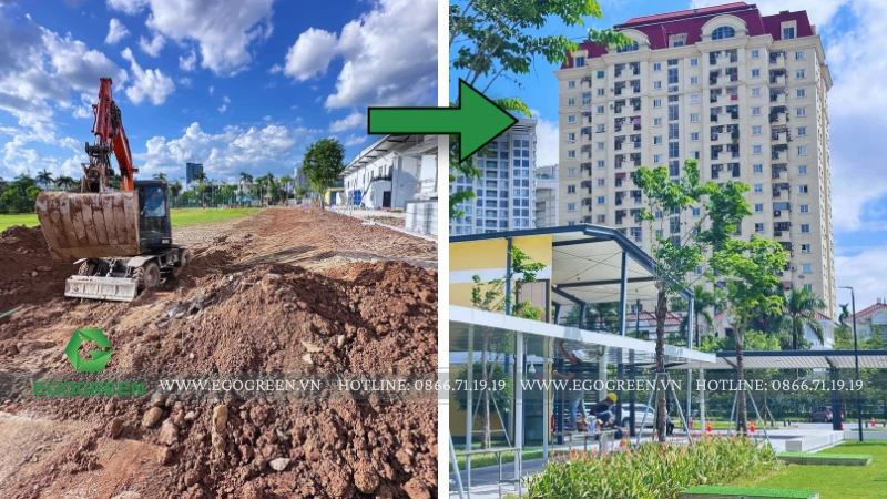 Thiết kế cảnh quan trường học: 5 tiêu chí tạo nên môi trường học tập truyền cảm hứng